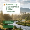 thumbnail image 5 of NatureBell Advanced Glucosamine Chondroitin & MSM - 240 Capsules - 10-in-1 Joint Support Complex - Includes Hyaluronic Acid, Turmeric, Glucosamine, Collagen & More - 60 Servings, 5 of 8