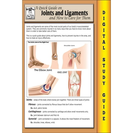 Joints and Ligaments ( Blokehead Easy Study Guide) - (Best Food For Joints And Ligaments)