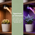 thumbnail image 4 of Rechargeable Grow Light 3 Pack, Full Spectrum LED, Magnetic Plant Light for Indoor, 6500K, Stepless Dimming with Timer Remote, for Shelf, 4 of 7
