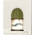 thumbnail image 5 of Great Art Now Potted Aloe Vera & Cactus by Linda Spivey 4 Piece Canvas Art Set Each 12"W x 15"H, 5 of 5