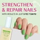 thumbnail image 2 of Tratamiento para el crecimiento de uñas Nutra Nail, 5 a 7 días, 14 ml (paquete de 2), 2 of 6