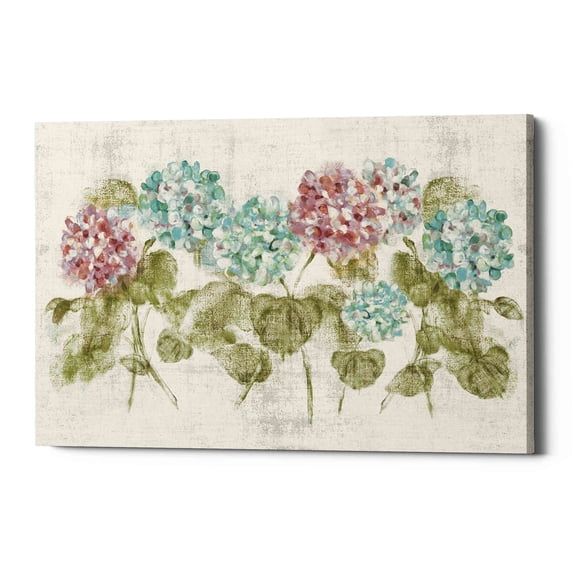 Epic Graffiti 'Vibrant Row of Hydrangea No Border' by Cheri Blum, Canvas Wall Art, 26"x18"