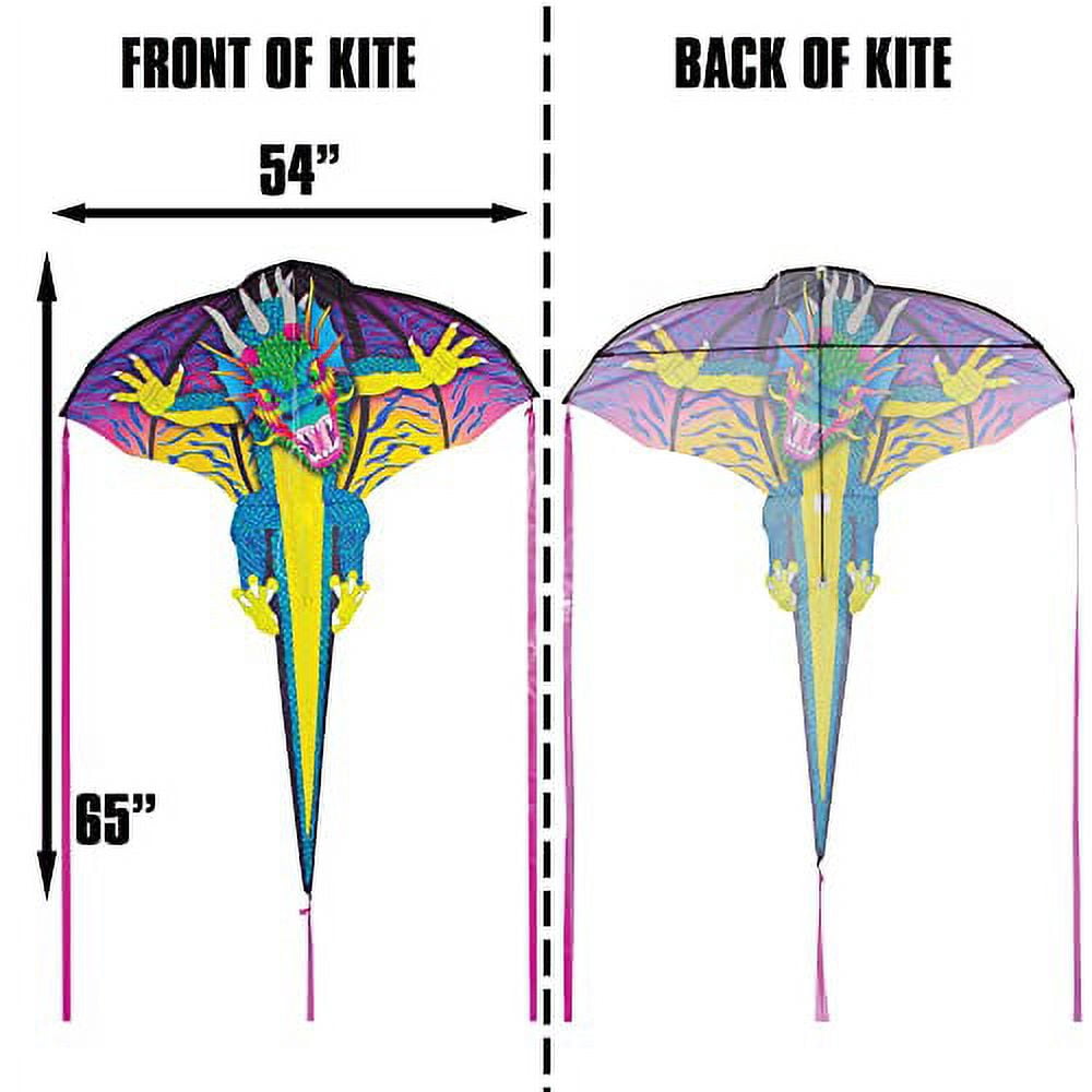 WindNSun Supersize 2-D Dragon Ripstop Nylon Dragon Kite, 65 Inches Tall