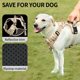 thumbnail image 5 of Arnés para perros HEELE sin tirones, ajustable y reflectante para perros, 5 of 6