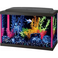 aquariums walmart canada