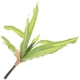thumbnail image 5 of Planta artificial resistente al desgaste para el hogar, decorativa, para el hogar, 5 of 5