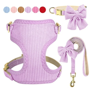 Didog 3pcs Bow tie Dog Collar Harness with Leash Set Soft Adjustable for Girl Boy Dogs