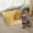 Yellow, variant on DOLITY Cat Litter Basin, Open Top Pet Litter Tray, Portable Cat Litter Container, Kitty Litter Pan High Sides for Indoor Cats,Coffee