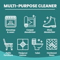 thumbnail image 5 of 20 Mule Team All Natural Borax Laundry Detergent Booster & Multi-Purpose Household Cleaner, 65 Ounce, 5 of 11