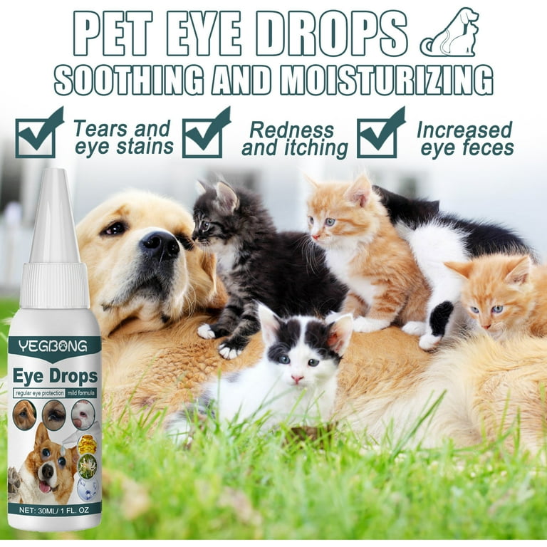 Itchy Skin Dog Allergy Home Remedy For Dog Eye Infection Dogs Eye