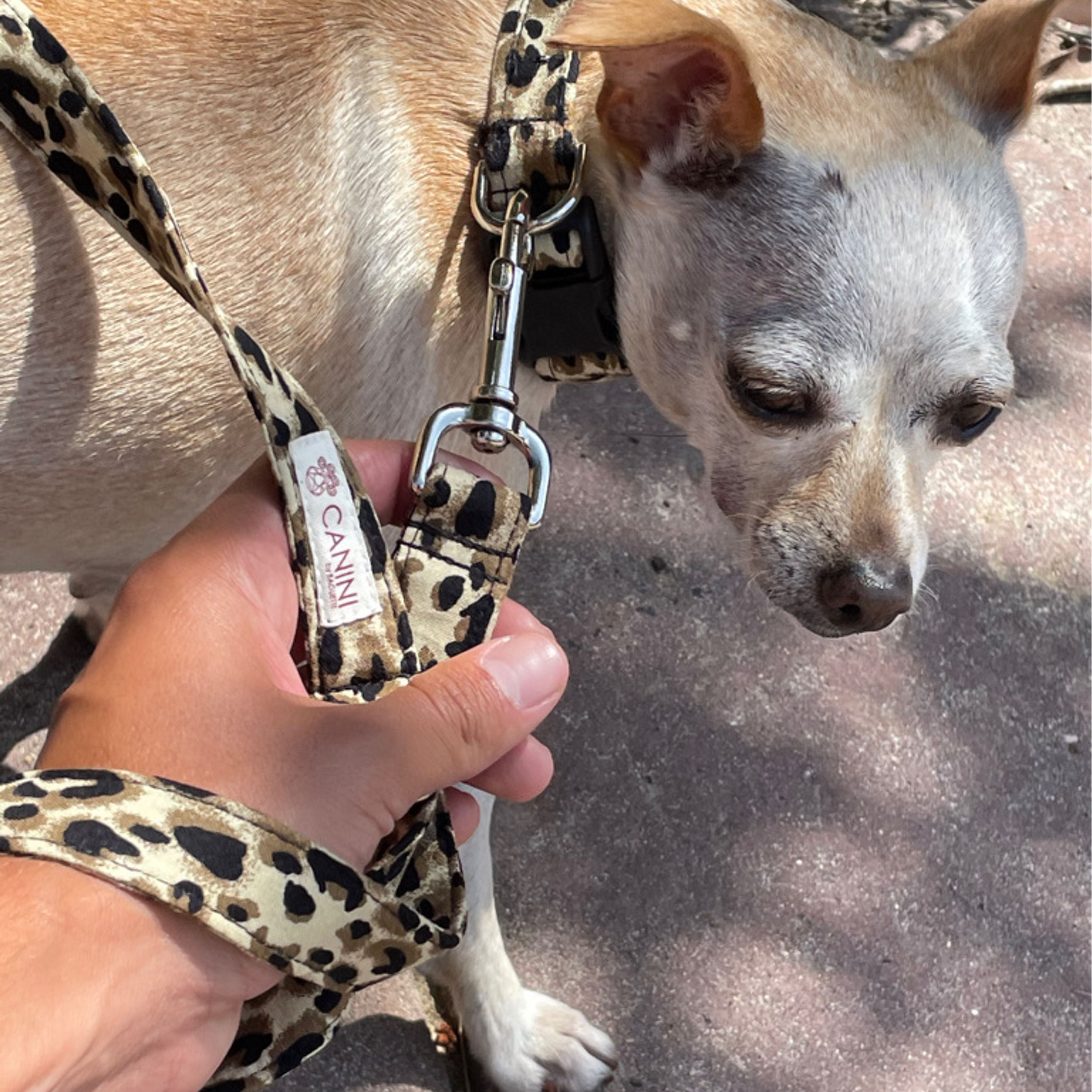 CANINI by Baguette Exotic Brown Leopard Leash