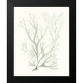thumbnail image 2 of Vision Studio 12x14 Black Modern Framed Museum Art Print Titled - Sage Green Seaweed V, 2 of 5