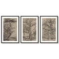 thumbnail image 2 of SHENIFY Large 24x36in3pcs Black Framed Vintage Tree Wall Art Retro Forest Paintings Antique Nature Wilderness Sketch Modern Living Room Bedroom Decor, 2 of 8