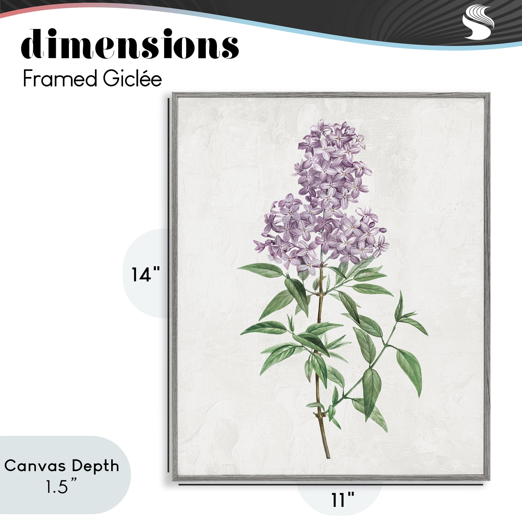 Stupell Industries Lilac Blossoms Blooms Gray Framed Giclee Art, design by Kim Allen