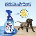 Lysol Pet Solutions Disinfecting Cleaner, Citrus Blossom Scent, 32 FL