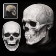 thumbnail image 4 of Full Head Skull Mask with Movable Jaw, Halloween Scary Mask, Head Realistic Latex Mask Helmet, Skeleton Mask for Men/Women, 4 of 4