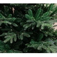 thumbnail image 3 of Holiday Stuff 5Ft Pre-lit Rocky Mountain Fir Wide Artificial Christmas Tree (5ft Pre-lit), 3 of 7