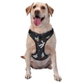 thumbnail image 1 of Balery Space Arnés para Perros Grandes Antitirones, Arnés con Correa para Gato, Arnés Tipo Chaleco para Perros Pequeños-Small, 1 of 6