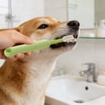 thumbnail image 6 of Head Toothbrush With Soft Silicone For And And Oral Hygiene Cleaning Miniature Accessories Dog Accessories Large Dogs Ground For Dogs Camping Accessories For Dogs Linen Accessories Battery for Dogs, 6 of 7