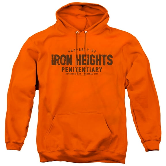 JLA Justice League Iron Heights Adult Pullover Hoodie Sweatshirt Orange