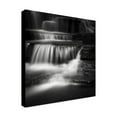 thumbnail image 4 of Trademark Fine Art Dave MacVicar 'Cascade' 18 x 18 (ALI0825-C1818GG), 4 of 4