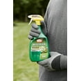 thumbnail image 3 of Ortho Weed B Gon Weed Killer for Lawns Ready-to-Use2 Trigger, 24 oz, 3 of 4