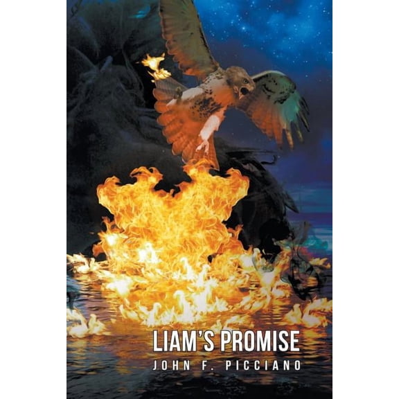 Liam's Promise, (Paperback)