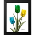 thumbnail image 2 of Koetsier, Albert 19x24 Black Modern Framed Museum Art Print Titled - Jeweled Tulip Trio 2, 2 of 5