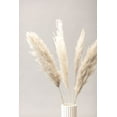 thumbnail image 2 of 1x Studio III 17x24 Gold Ornate Wood Framed with Double Matting Museum Art Print Titled - Pampas Grass Grey 05, 2 of 4