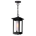 thumbnail image 1 of Granville 1 Light Black Outdoor Hanging Light, 1 of 6