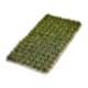 thumbnail image 2 of Mechones de hierba, arbustos de tierras bajas, kit de modelos de terreno realistas hechos a mano para bonsái Verde Amarillo, 2 of 9