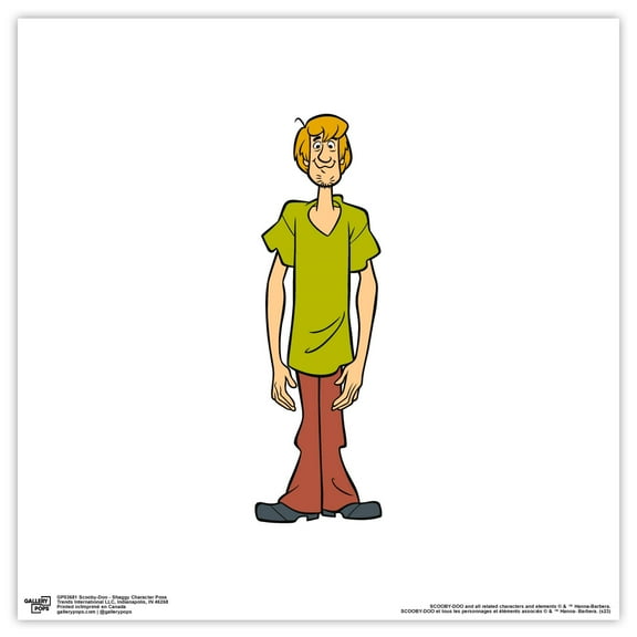 Gallery Pops Scooby-Doo - Shaggy Character Pose Wall Art, Unframed Version, 12" x 12"