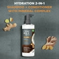 thumbnail image 3 of Dove Men+Care 2-in-1 Shampoo + Conditioner for Men Ginger & Coconut Oil, 17.5 oz ( 3 Pack ), 3 of 8