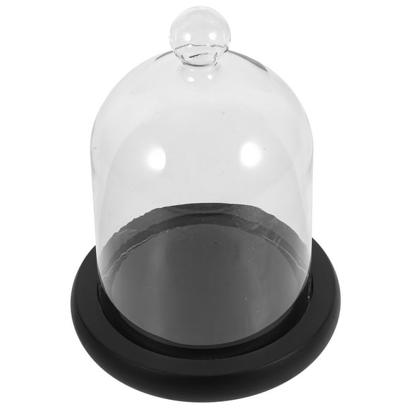 VERDANVERSE Glass Cake Dome Display Preserved Flowers Borosilicate Glass 1Pc