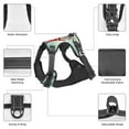 thumbnail image 4 of No Pull Dog Harness For Medium Dogs Easy Walk Dog Vest Adjustable Collars Harnesses & Leashes Set Breathable Oxford Outdoor Walking Safety Reflective Strip Christmas Gnome Tomte Snow, 4 of 9