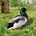 thumbnail image 4 of Duck Decor Realistic Life-like Ornamental Double-sided Printing Rustic Acrylic Garden Poultry Statue for Yard, 4 of 7