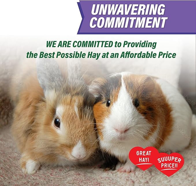 Small Pet Select - Value Choice Timothy Hay, 8 Pound (Pack of 1)