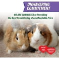 thumbnail image 2 of Small Pet Select - Value Choice Timothy Hay, 8 Pound (Pack of 1), 2 of 5