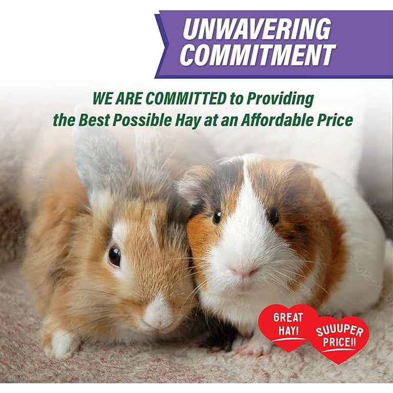 Small Pet Select Value Choice Timothy Hay, 8lbs photo 2