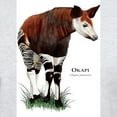 thumbnail image 3 of CafePress - Okapi Light T Shirt - Men's Classic Graphic T-Shirt, 3 of 4