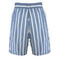 thumbnail image 2 of Solid & Striped Men's The Classic Swim Trunks, Steel Blue White, L, 2 of 2