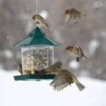 thumbnail image 2 of panorama Bird Feeder Hanging Plastic Wild Bird Feeders, Waterproof Seed Feeder, 2 of 4