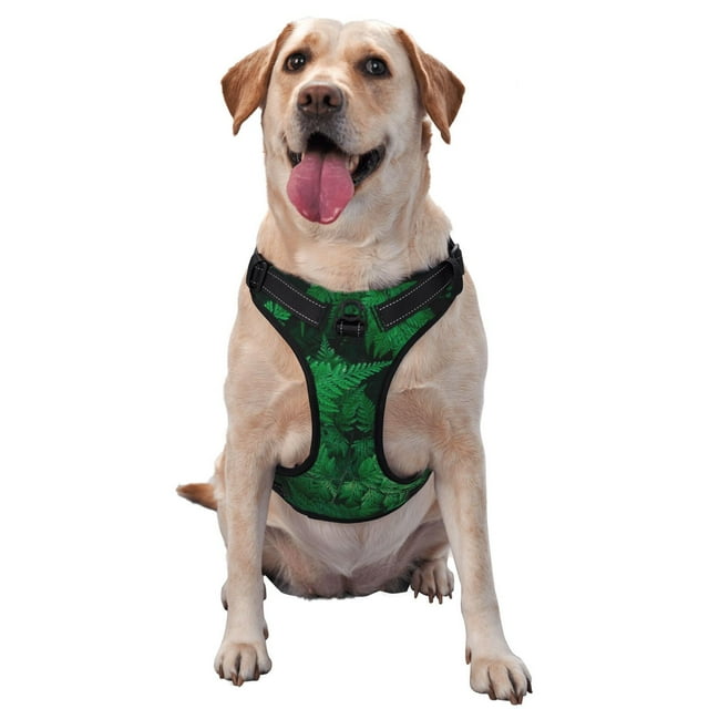 Balery Green Leave Fern Arnés para Perros Grandes Antitirones, Arnés con Correa para Gato, Arnés Tipo Chaleco para Perros Pequeños-Medium