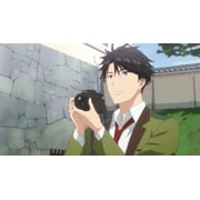 Tada Never Falls In Love: Premium Box Set