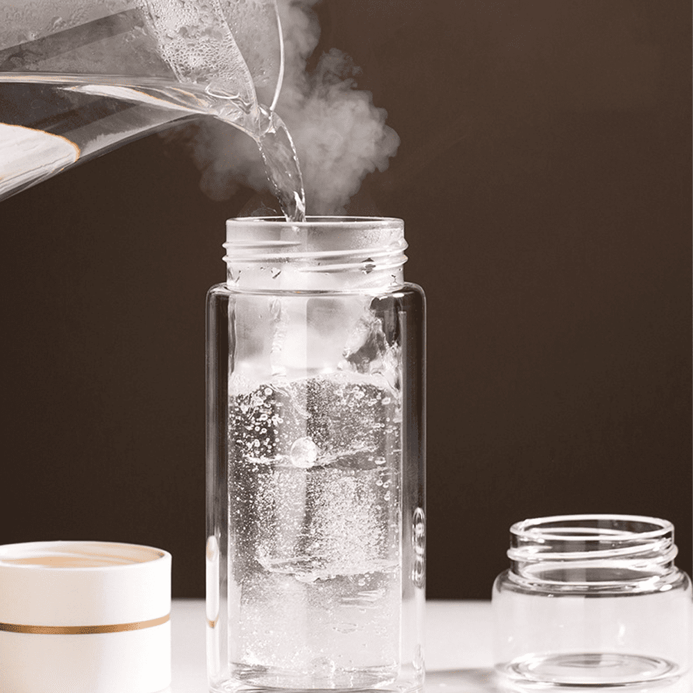 Double Wall Glass Tea Infuser Bottle Portable Glass Tumbler Stainless –  TheWokeNest