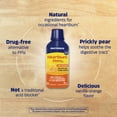 thumbnail image 5 of Enzymedica Fast-Acting Natural Heartburn Hero Liquid Soothes Occasional Heartburn & Acid Indigestion, 12oz, 5 of 10