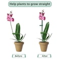thumbnail image 4 of Billuyoard Protección vegetal eficaz y verde con soporte duradero para plantas, palo para plantas, soporte alto y fácil Jardín y Patio Verde 16 pulgadas/40 cm 6 juegos, 4 of 6