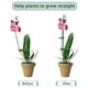 thumbnail image 3 of Protección vegetal Advancent de plástico con estacas resistentes para plantas altas Verde 18 pulgadas 12 juegos, 3 of 6