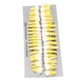 thumbnail image 4 of Modelo dental permanente escala 1:1, 32 unidades, resina bicolor, modelo de demostración dental para dentistas, 4 of 5