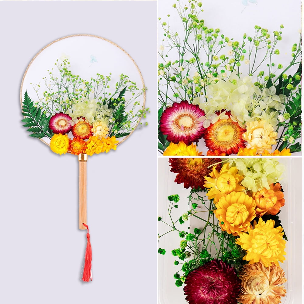 Dried Flowers for Resin Jewelry molds with Tweezers,Fan,for DIY